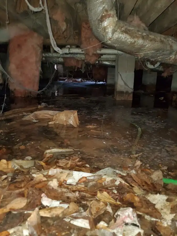 Crawl space flood assessment for Commercial Water Damage Restoration in Sulphur Springs